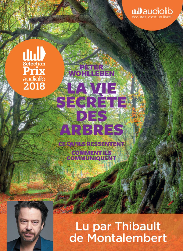 La vie secrète des arbres